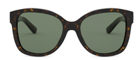 Ralph Lauren RL8180 Sunglasses
