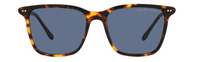 Ralph Lauren RL8199 Sunglasses