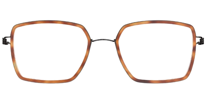 Korrektionsbrillen Lindberg Air Titanium Rim Jerald