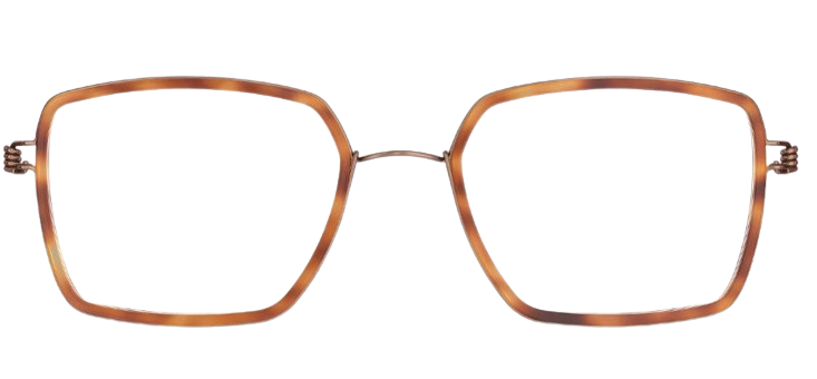 Korrektionsbrillen Lindberg Air Titanium Rim Jerald