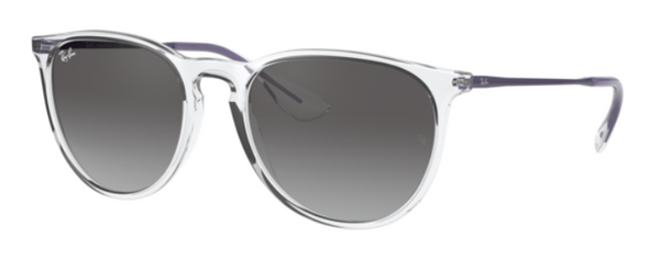 Zonnebril Ray-Ban Erika RB4171