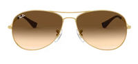Ray-Ban Cockpit RB3362 Sunglasses