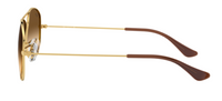Ray-Ban Cockpit RB3362 Sunglasses