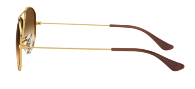 Ray-Ban Cockpit RB3362 Sunglasses