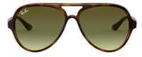 Ray-Ban Cats 5000 RB4125 Sunglasses