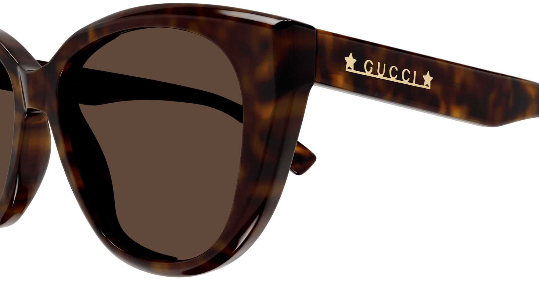 Gucci Lettering GG1588S Sunglasses