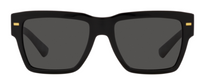 Dolce & Gabbana DG4431 Sunglasses