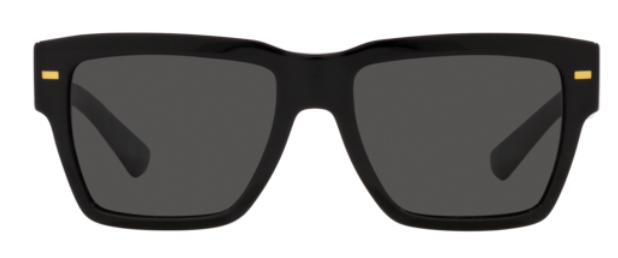Dolce & Gabbana DG4431 Sunglasses