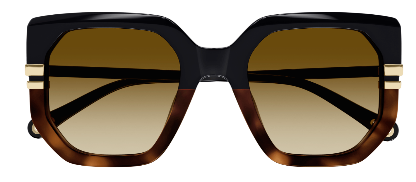 Sonnenbrille Chloé CH0240S