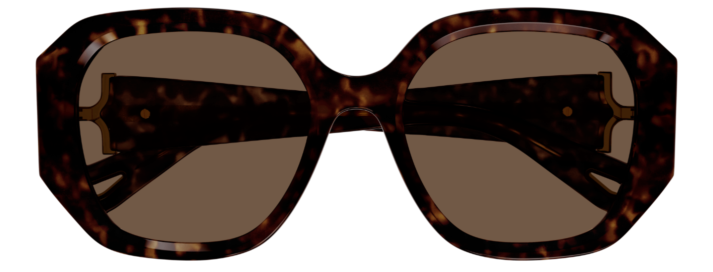 Chloé CH0236S Sunglasses
