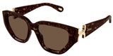 Occhiali da Sole Chloé CH0235S