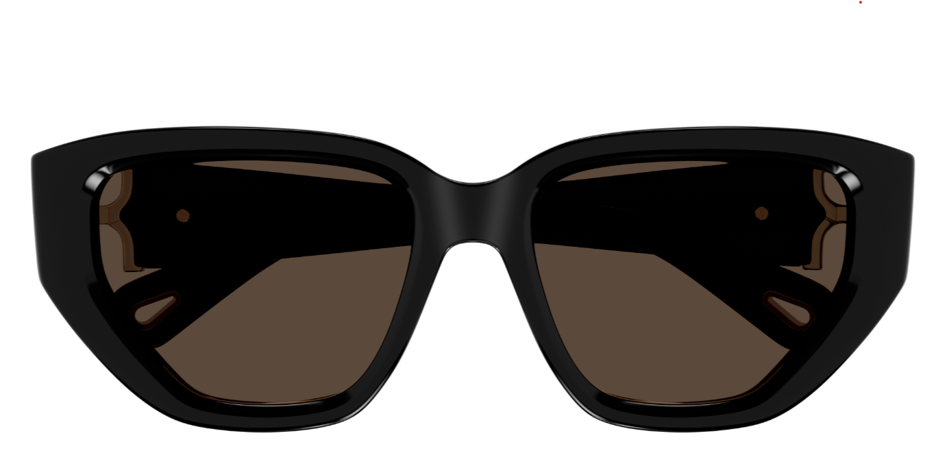 Chloé CH0235S Sunglasses