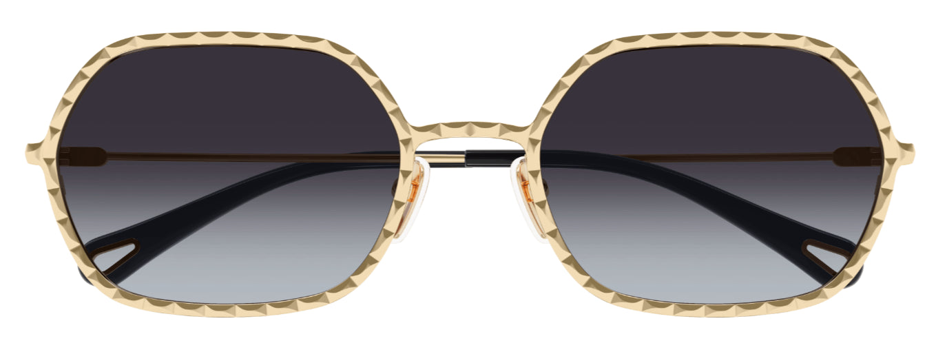 Occhiali da sole Chloé CH0231S
