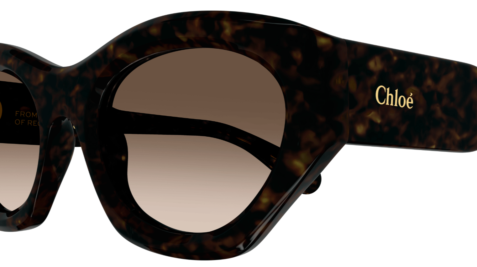 Chloé CH0220S zonnebril