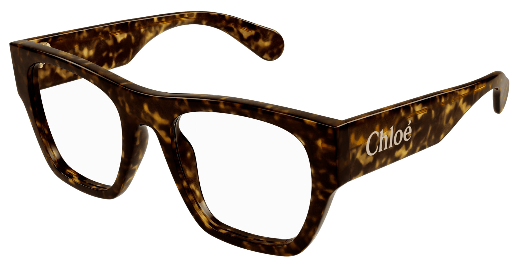 Brille Chloé CH0250O