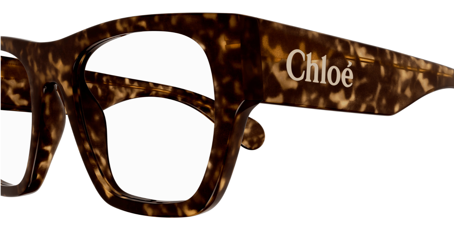 Brille Chloé CH0250O