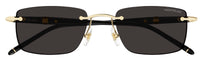 Montblanc Meisterstück MB0344S Sunglasses