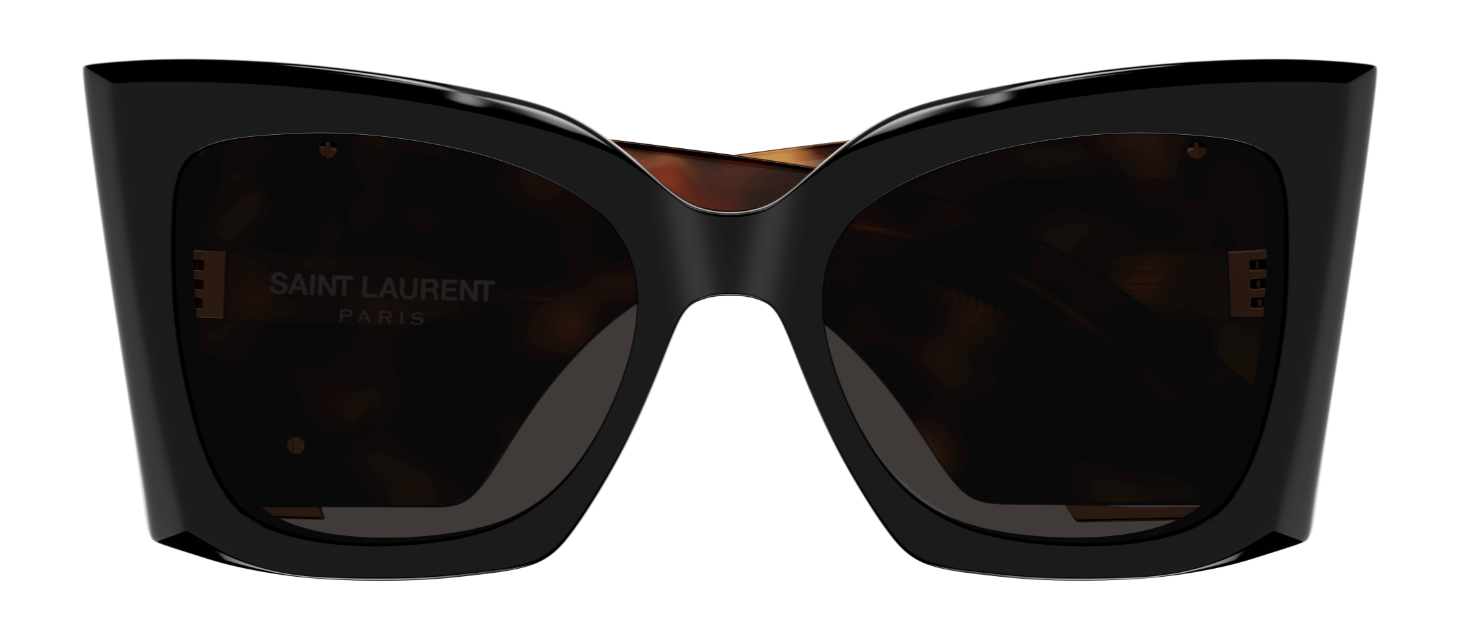 Zonnebrillen Saint Laurent Monogram SL M119 BLAZE