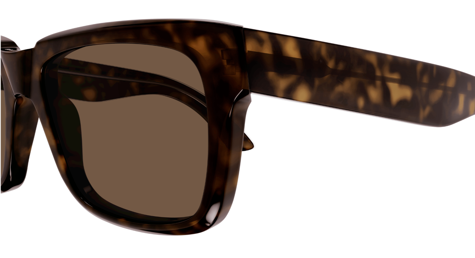 Balenciaga Everyday BB0346S Sunglasses