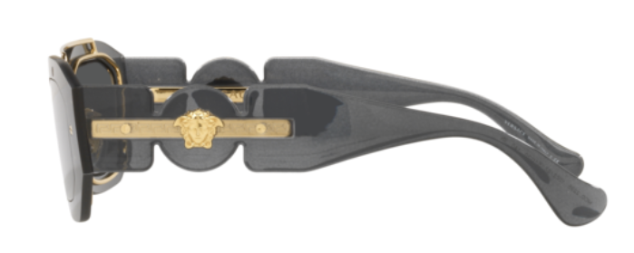 Versace Medusa Biggie VE2235 zonnebrillen