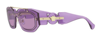 Versace Medusa Biggie VE2235 zonnebrillen