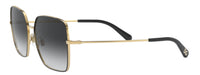 Dolce&Gabbana DG2242 Sunglasses