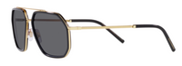Dolce & Gabbana DG2285 Sunglasses