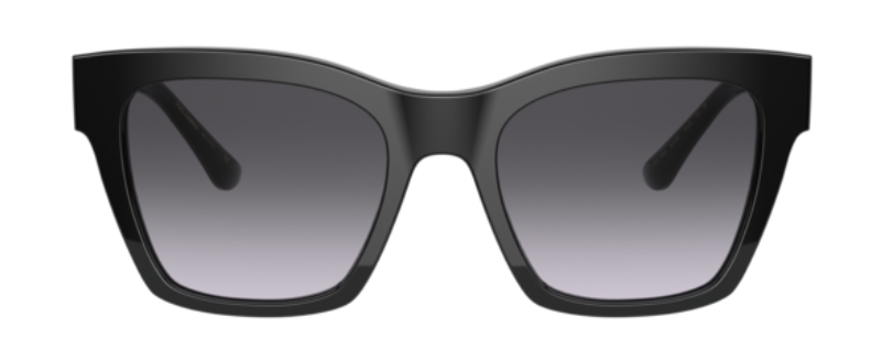 Zonnebrillen Dolce & Gabbana DG4384