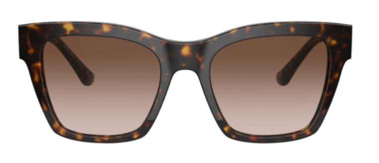 Zonnebrillen Dolce & Gabbana DG4384