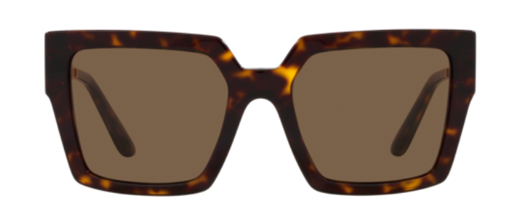 Sonnenbrille Dolce & Gabbana DG4446B