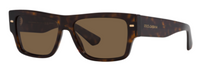 Dolce & Gabbana DG4451 Sunglasses