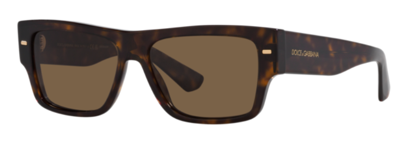 Dolce & Gabbana DG4451 Sunglasses