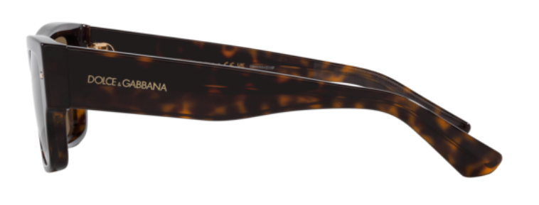 Dolce & Gabbana DG4451 Sunglasses