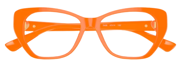 Óculos de grau Versace VK3005U