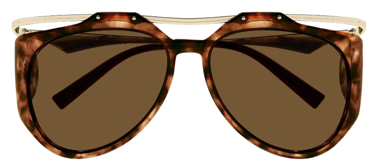 Lunettes de Soleil Saint Laurent Monogram SL M137/F AMELIA