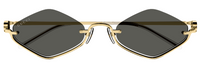 Zonnebrillen Gucci Emblem GG1604S