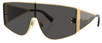 Dolce & Gabbana DG2305 Sunglasses