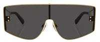 Dolce & Gabbana DG2305 Sunglasses