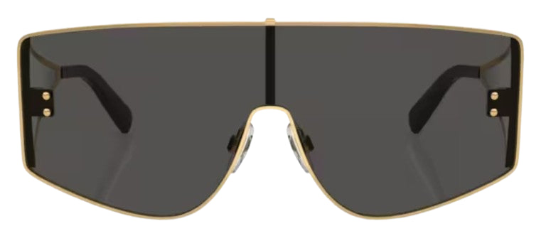 Dolce & Gabbana DG2305 Sunglasses