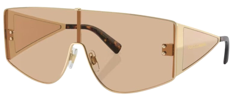 Dolce & Gabbana DG2305 Sunglasses