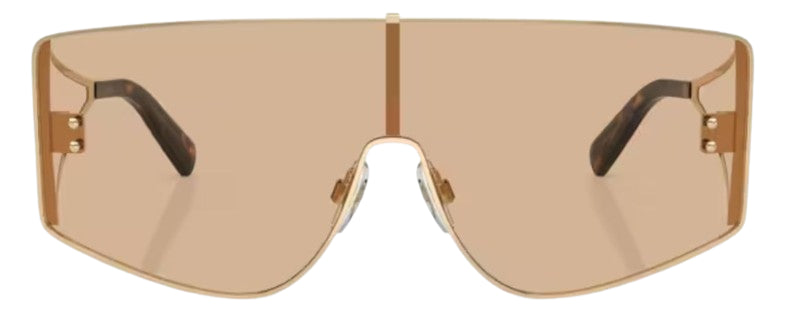 Dolce & Gabbana DG2305 Sunglasses