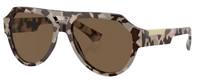 Gafas de Sol Dolce & Gabbana DG4466