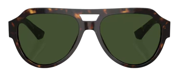 Gafas de Sol Dolce & Gabbana DG4466