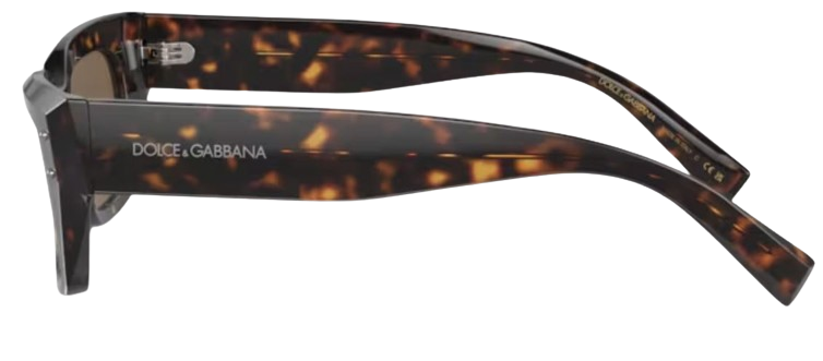 Dolce & Gabbana DG4462 Sunglasses