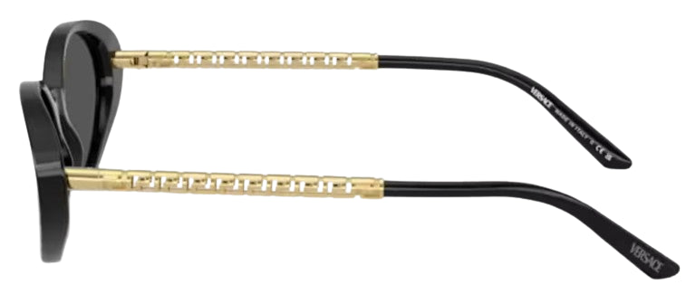 Versace Tubular Greca VE4469 Sunglasses
