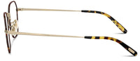 Brille Oliver Peoples Levison OV1334