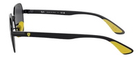 Ray-Ban RB3794M Sunglasses