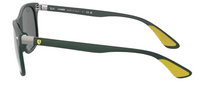 Ray-Ban RB4607M Sunglasses