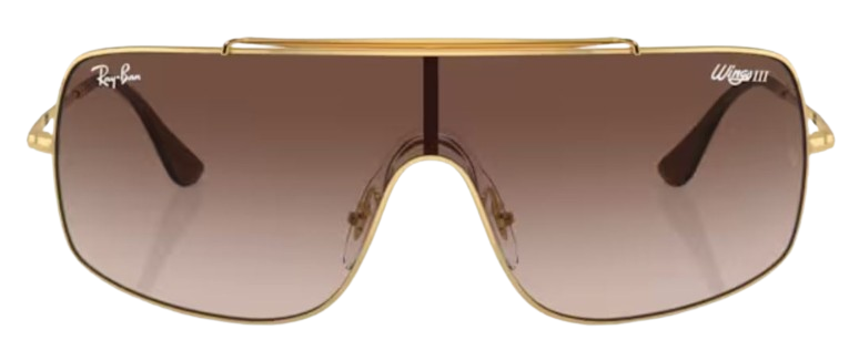 Ray-Ban Wings III RB3897 Sunglasses