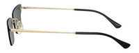 Gafas de Sol Ray-Ban Anh RB3731